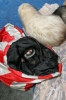 20060106_JT2U9668.jpg